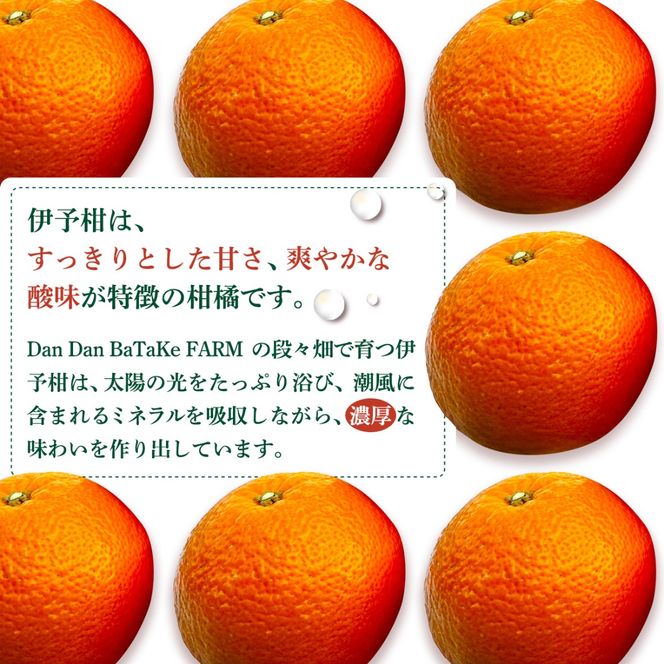 【先行予約】【家庭用】伊予柑 約5kg | 柑橘 みかん 果物 フルーツ 愛媛県産 農家直送　※離島への配送不可　※2027年1月中旬から順次発送予定 IKTAU001
