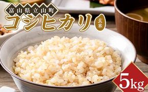 令和8年度米【コシヒカリ玄米5kg】横山ファーム 米 富山県立山町産 こしひかり 玄米 5kg 富山県 立山町 F6T-1109