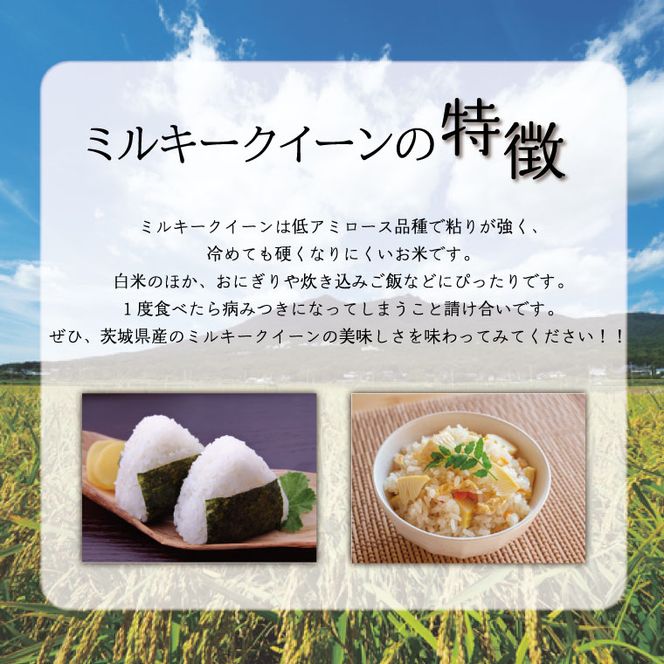 【数量限定】 令和7年産 米 コシヒカリ 5kg＋ミルキークイーン 5kg |お米 茨城県 行方市(HA-21)