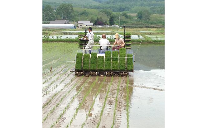 仁木町「ななつぼし」10kg お米 米 ごはん 精米 白米 国産 北海道 こめ コメ [峠のふもと　紅果園]