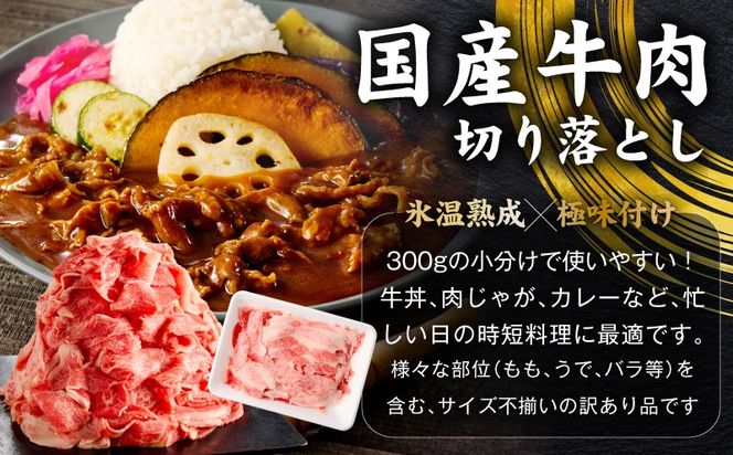 mrz0403 国産 牛豚鶏 4種セット 4kg【氷温熟成×極味付け 牛肉 豚肉 鶏肉 もも むね 食べ比べ 普段使い 味付き 小分け 訳あり サイズ不揃い】