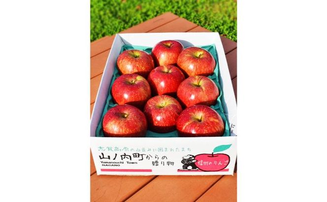 【2026年8月発送】シナノリップ 秀品 約3kg 7～11玉 りんご 果物 信州 長野