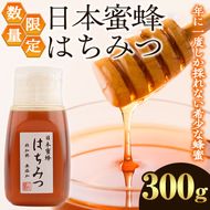 数量限定！日本蜜蜂 はちみつ(300g) 国産 蜂蜜 ハチミツ 日本ミツバチ 非加熱 ハニー ボトル 【三九】akn006-17