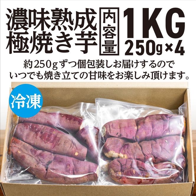 【先行予約】 12月以降発送 濃味熟成 極焼き芋 1kg (250g×4p) 冷凍 真空パック 紅はるか 焼き芋 小分け 大洗産 茨城県産 国産 濃厚 熟成 やきいも 芋 茨城 べにはるか さつまいも お菓子 和菓子 スイーツ