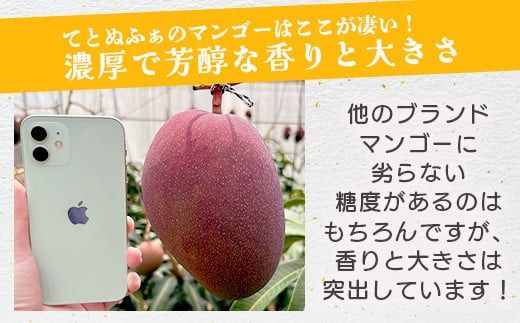 《2026年7月以降発送》最高糖度20度！？ 完熟！3Lサイズ　石垣島産冬眠マンゴー 【 沖縄 石垣 数量限定 フルーツ マンゴー 冷凍 完熟 真空 】TF-17-1_R8