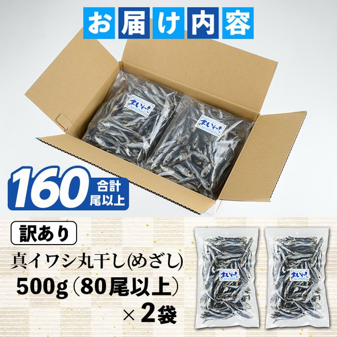 訳あり！真イワシ丸干し＜めざし＞(合計160尾以上・500g×2袋) 国産 鹿児島県産 阿久根市産 魚 魚介 水産 訳あり 訳アリ いわし 鰯 めざし マイワシ まいわし 真いわし 丸干し 丸干 チャック付き袋 【鈴木海産】akn091-02