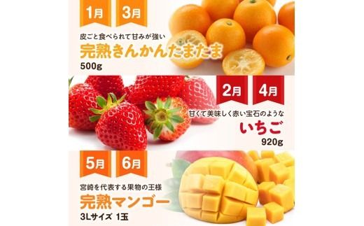 【 12ヶ月定期便 】 デラックス 定期便 【 川南町産 くだもの きんかん いちご 完熟 マンゴー ぶどう ピオーネ シャイン マスカット 大玉 メロン 】[B11701t12]