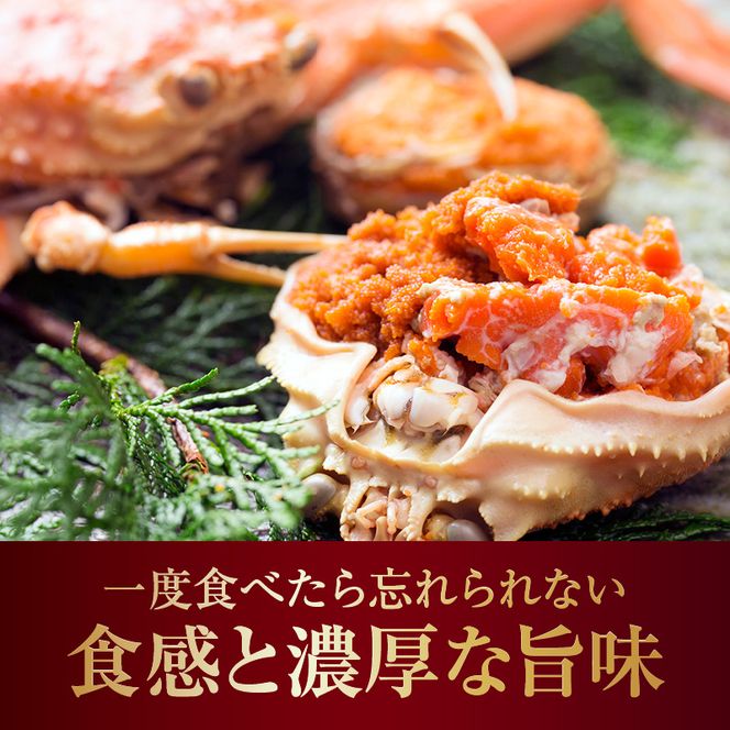 【セコガニ 釜茹で 甲羅盛り 約70～80g（甲羅含む）×2個 総量140g以上 冷凍】【令和8年3月上旬以降発送予定】 TVで紹介 日本テレビ カンテレ 内子 外子 蟹身 かにみそ 海鮮 かに カニ 蟹 松葉がに メス せこがに 大人気 おすすめ 兵庫県 香美町 日本海フーズ KRM SKG 12000円 07-115