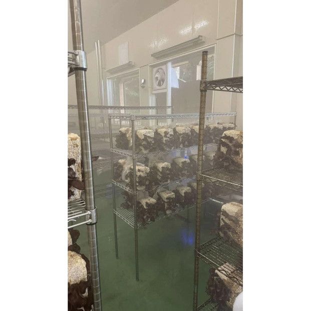 いりすのきのこ　乾燥きくらげ（20g×4パック） 322032_FL002