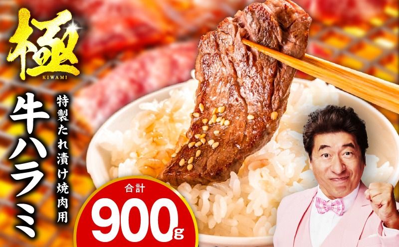 mrz0422 [スピード発送]牛肉 ハラミ 900g 小分け 300g×3P[氷温熟成×特製ダレ 味付き 牛肉 訳あり 不揃い 焼肉 BBQ 野菜炒め 圧倒的企業努力]