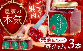 いちごジャム 3本セット 果物 フルーツ 紅ほっぺ いちご 愛西市 / くぼ苺農園 【配達不可：離島】[AECJ022]