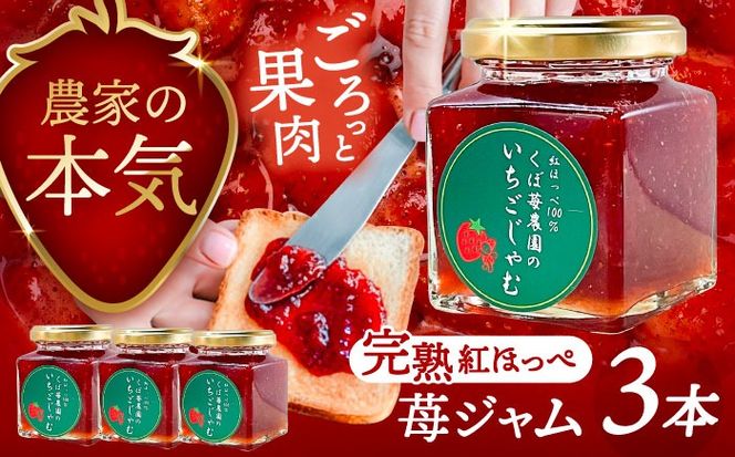 いちごジャム 3本セット 果物 フルーツ 紅ほっぺ いちご 愛西市 / くぼ苺農園 【配達不可：離島】[AECJ022]