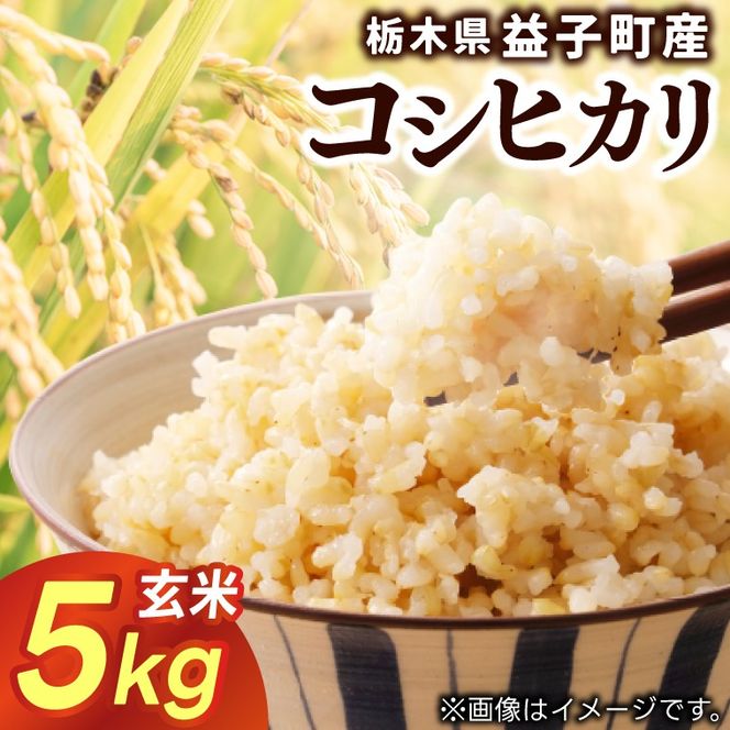 ＼令和7年産／【数量限定】あい　farm　やなぎのお米　令和7年産 コシヒカリ 玄米 5kg | 栃木県 益子町 ふるさと納税 お米 米 5kg 玄米 (DQ009)