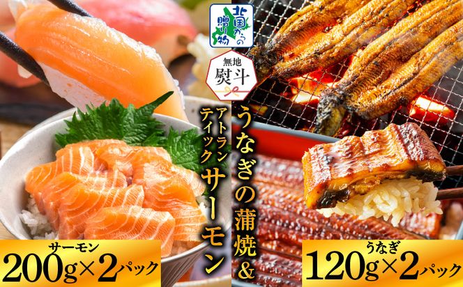 G1566-1 【無地熨斗】五郎藤 国産 関西風 地焼き有頭旨鰻 120g×2尾＆アトランティックサーモン 200g×2パック 食べ比べ