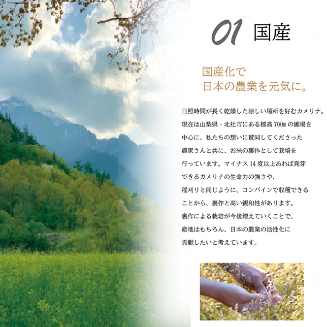 熱で壊れにくいオメガ3！大山崎油座商店のカメリナオイル 130g nalx0001