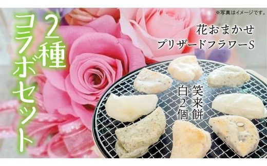 【 筑西市 ふるさと納税限定 コラボ 】 《 花色 おまかせ プリザーブド フラワー S 》《 笑来餅 2個 セット（白2個） 》 アレンジメント 生花 ギフト プレゼント 誕生日 記念日 敬老 餅 もち もち米 [ZZ048ci]