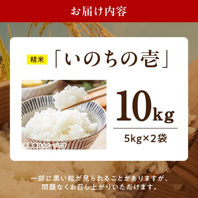 R7年産　「いのちの壱」（10kg）＜農家直送＞ ［208K10］ 希少米 10kg 米 精米 白米 ご飯 国産 産地直送 甘い 粘り強い もちもち お取り寄せ こだわり米 愛知県 小牧市 送料無料