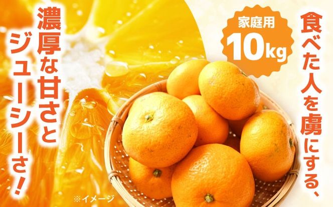 【2026年12月中旬～発送】【訳あり】家庭用 南高みかん 10kg / みかん ミカン 蜜柑 果物 フルーツ / 南島原市 / 南高果樹農業協同組合[SGI002]