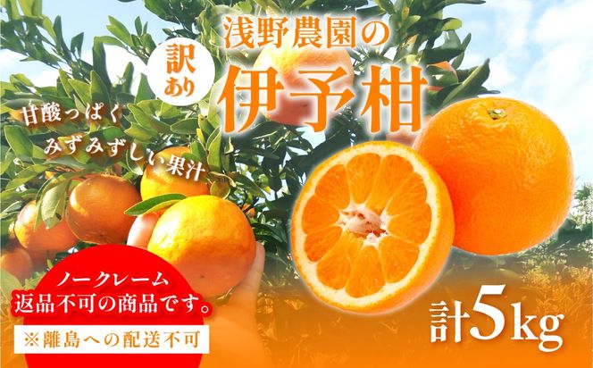 【先行予約】【訳あり】伊予柑計5kg ※離島への配送不可（2027年2月上旬頃より順次発送予定 ）IKTAC034