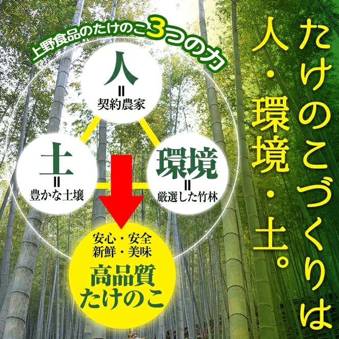 ＜先行予約受付中！2027年3月上旬以降順次発送予定＞ 【平日着】お刺身たけのこ(計1kg) 国産 鹿児島県産 朝採れ タケノコ 竹の子 筍 真空パック 野菜 春 旬 【上野食品】akn008-06-A