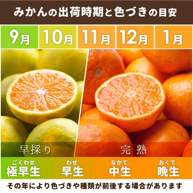家庭用 蔵出しみかん 2.5kg+250g（傷み補償分）【光センサー選果】
