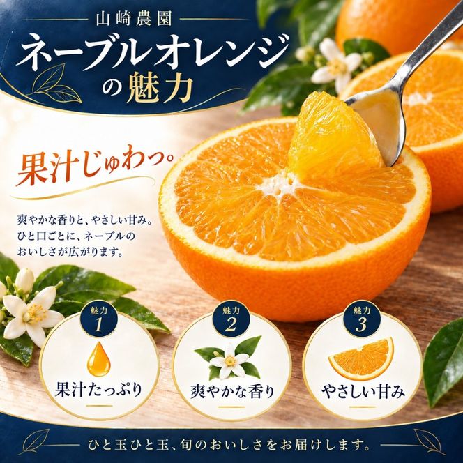 ネーブルオレンジ 約10kg サイズおまかせ アルギット 栽培 国産 甘い おいしい ジューシー 皮 薄い 完熟 期間限定 フルーツ 果物 人気 おすすめ 高級 こだわり ギフト 旬 山崎農園 和歌山 DT25