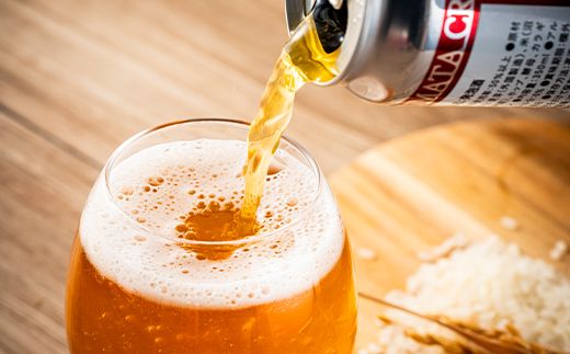 沼田町クラフトビール飲み比べセット IPA ライスエール 12缶（各種6缶） 地ビール ビール 酒 アルコール アルコール飲料 沼田町 北海道 n-0267