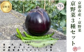 【先行予約・2026年7月発送】京野菜「3種セット」賀茂茄子・万願寺とうがらし・伏見とうがらし 261009_A-DA009