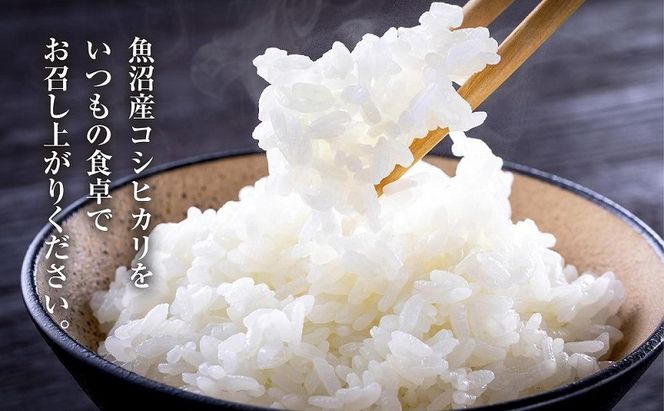 【無地熨斗】 棚田米 魚沼産 コシヒカリ 5kg 新潟県 十日町市 松代地区 限定 棚田 こしひかり （お米屋秘伝！美味しいご飯の炊き方ガイド付き） 精米 ブランド米 銘柄米 