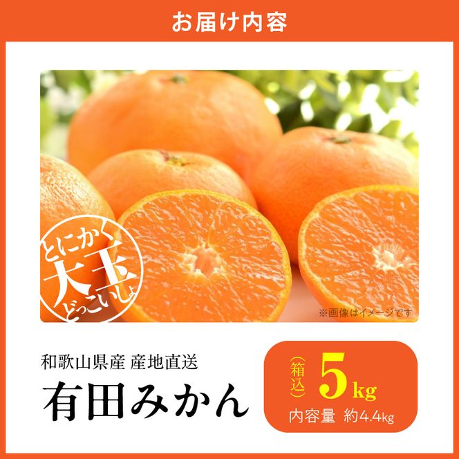 MK1033_【2026年先行予約】みかん 大玉 どっこいしょ 箱込 5kg ( 内容量 4.4kg ) 2Lサイズ以上 秀品 優品 混合 有田みかん 和歌山県産 産地直送 【みかんの会】