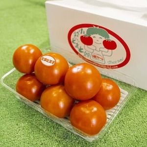 とまとの王子さま　約2.8kg ※2026年1月上旬～5月下旬頃に順次発送予定◆