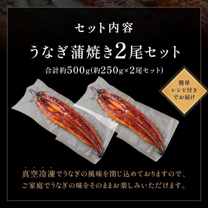 うなぎ蒲焼き2尾セット(約250g×2尾セット)【魚住商店】_HA1964 うなぎ 鰻 蒲焼 真空パック 福岡県宗像市 宗像市 福岡 宗像