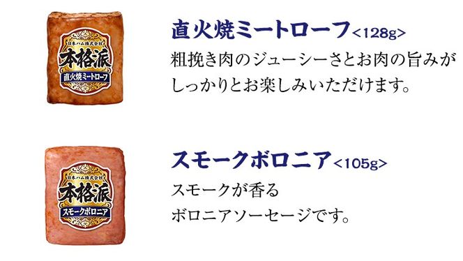 日本ハム 筑西工場 ギフトセットD 肉 にく 贈答 ギフト 詰め合わせ ハム ソーセージ ウィンナー 生ハム 焼豚 [AA085ci]