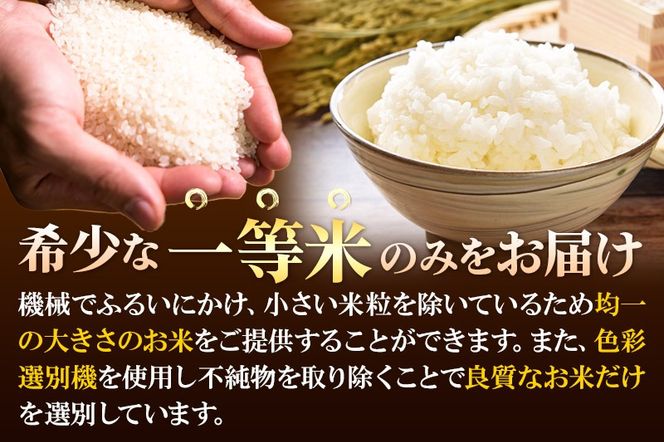 【無洗米】＜新米＞宮城県利府町産 一等米ひとめぼれ10kg(10kg×1) 令和6年産|06_jne-011001m