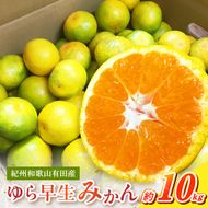 G7098_ 紀州和歌山有田産 ゆら早生みかん 10kg【ミカン 蜜柑 柑橘 温州みかん わせみかん】