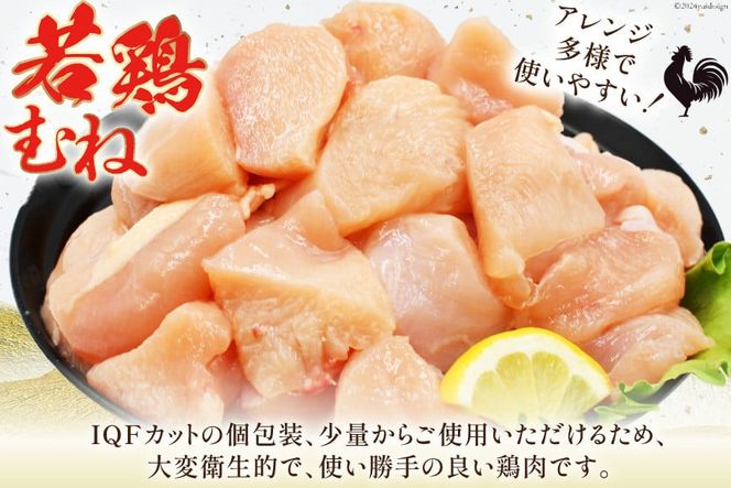 鶏肉 6回 定期便 むね 宮崎県産 若鶏 ムネ肉 250g ×12袋 計 3kg×6回 [九州児湯フーズ宮崎支店 宮崎県 日向市 452061554] 小分け 冷凍 むね肉 国産