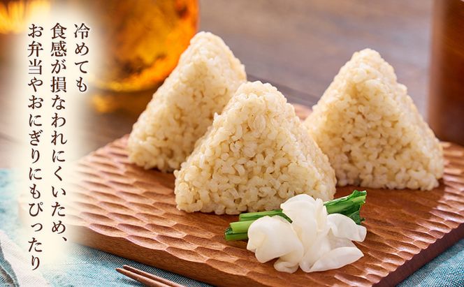 愛知県産 あいちのかおり 玄米 5kg お米 玄米 ライス ご飯 おにぎり お弁当 和食