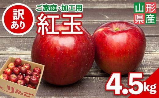 yR`쒬zFYN6-148 2025Ns\ ƒEHp R`Y  g 4.5kg 2025N10{珇   ь S 傭 ʕ  t[c Hʎ 󂠂 Hp ƒp p Yn Ԍ R` 쒬 R