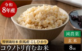令和8年産 減農薬 玄米 特別栽培米 8kg コウノトリ育むお米 但馬産 こしひかり 兵庫県産(2kg×4袋) 減農薬 お米 8キロ 玄米 コウノトリ米 コシヒカリ コメ こめ ご飯 ライス 減農薬米