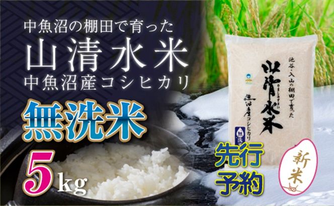 【令和8年産 先行予約】新潟県魚沼産コシヒカリ「山清水米」無洗米5kg
