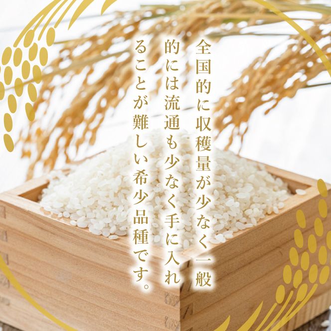 【最短7日発送】大子産米 ゆうだい21（精米）3kg|茨城県 大子町 白米 令和7年産 食味値 コンテスト 受賞 モチモチ （AV020）