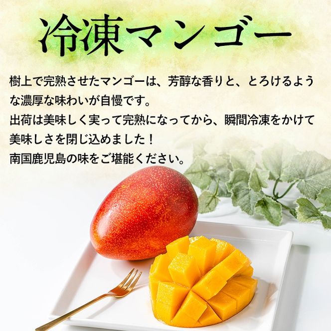 【0105933a】物産館おススメ！東串良町産 丸ごと冷凍マンゴー(計800g・2-3個入り) 果物 フルーツ 果実 デザート 国産 冷凍 ご家庭用 【東串良物産館ルピノンの里】