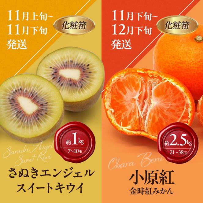 讃岐のフルーツ8回定期便【B】【香緑キウイ】【デコポン】【さぬきひめ苺】【なつたより(びわ)】【さぬきの桃】【さぬきゴールドキウイ】【さぬきエンジェルスイート】【金時紅みかん】