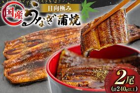 うなぎ 国産 日向極み うなぎ蒲焼 2尾 計240g以上 【たれ・山椒付き】 [日向サンパーク 宮崎県 日向市 452061502] ギフト 小分け 真空パック 鰻 ウナギ うなぎの蒲焼 蒲焼 蒲焼き