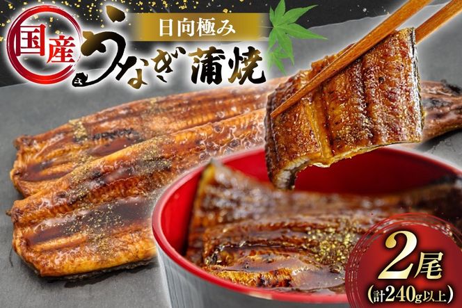 y{茧szȂ Y ɂ Ȃ 2 v240gȏ yERtz [Tp[N {茧 s 452061502] Mtg  ^pbN V EiM Ȃ̊  Ă