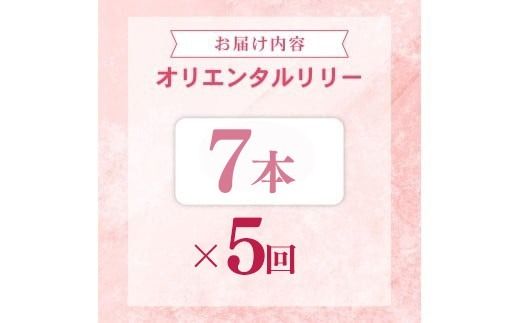 定期便5回 ユリ オリエンタルリリー 7本 花 切り花 プレゼント 贈り物 ギフト 誕生日 記念日 つぼみ 大輪 ピンク 白 香り 優雅 華麗 ブーケ フラワーアレンジメント 観賞用 インテリア 季節の花 高級感 花束 生花 福田園芸 オリエンタルハイブリッド 安芸市 高知県