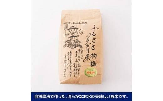 【3ヶ月定期便】【令和7年産】宮崎県産こしひかり「シタギリ米」5kg 【 お米 新米 定期便 全3回 】☆[C04201t3]