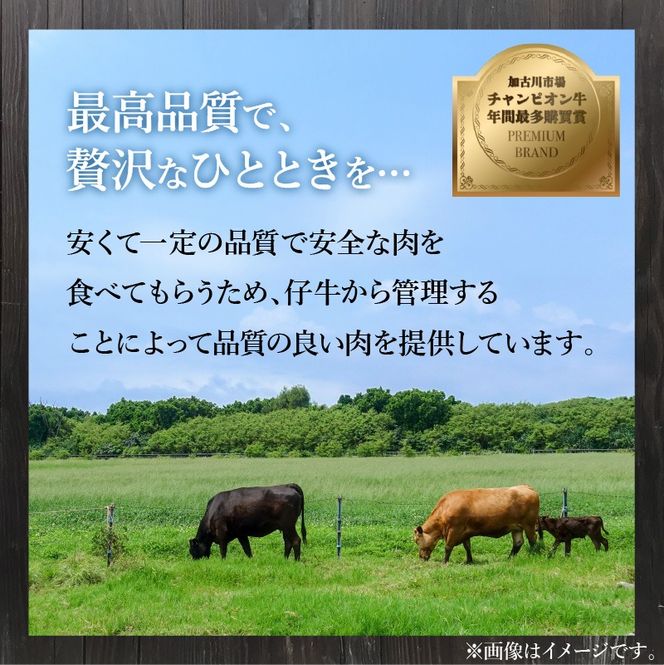極上牛タン 400g(200g×2パック)【3ヶ月定期便】《 牛タン タン 牛肉 牛 肉 お肉 定期便 厳選 焼肉 焼き肉 BBQ バーベキュー しゃぶしゃぶ スライス 小分け 小分けパック 400g 牛タン薄切り 》【2402A00418】