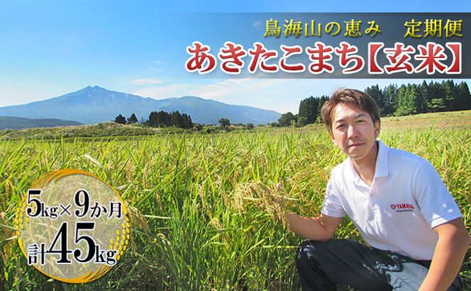 米 お米 【定期便】5kg×9ヶ月 鳥海山の恵み 農家直送！ あきたこまち（玄米） 9カ月 9回 サブスク