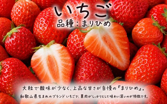 【発送月固定定期便】紀州和歌山産旬のフルーツセット(いちご4P・ポンカン・紀州デコ約5kg)全3回 【tkb450】
